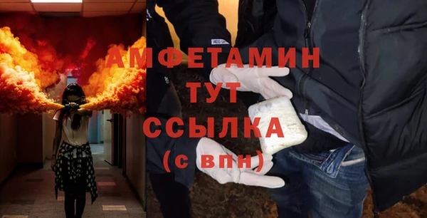 молекула духа Елизово