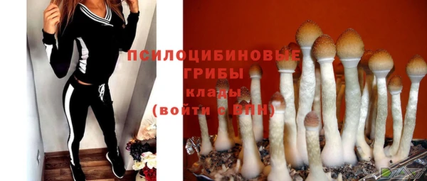 амф Елабуга