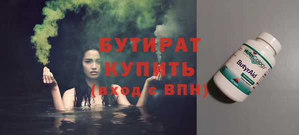 винт Ельня