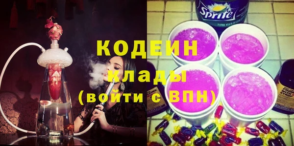 молекула духа Елизово