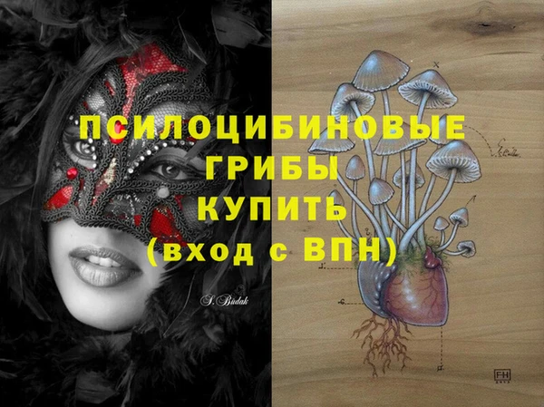 амф Елабуга