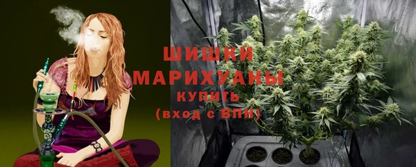 ECSTASY Дмитриев