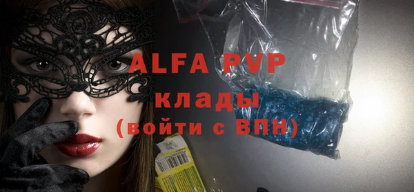 винт Ельня