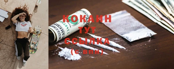ECSTASY Дмитриев